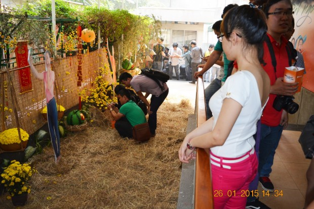 150126-lumia-435-lumia-532-laucnh-hcm-12_resize