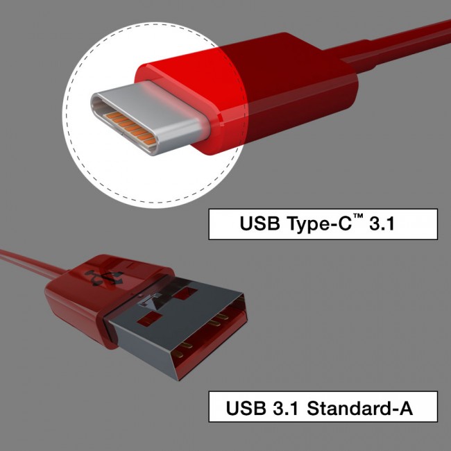 TypeC3vFv2-Lrge