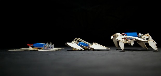 robot_origami