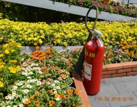 Bình cứu hỏa giữa ngàn hoa