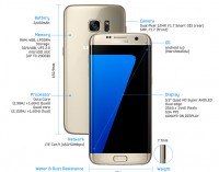 Toàn cảnh 2 anh em Galaxy S7 và S7 edge