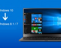 HP không “hạnh phúc” với Windows 10?