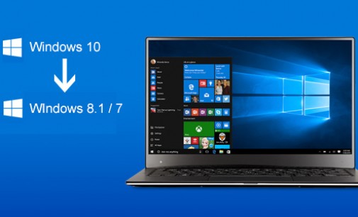 HP không “hạnh phúc” với Windows 10?