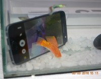 VIDEO: Test khả năng chống nước của Samsung Galaxy S7 edge