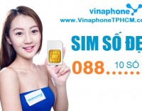 Mạng Vinaphone chính thức cung cấp đầu số di động mới “song phát” 088