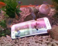 VIDEO: Thử cho em Samsung Galaxy S7 tắm trong hồ cá