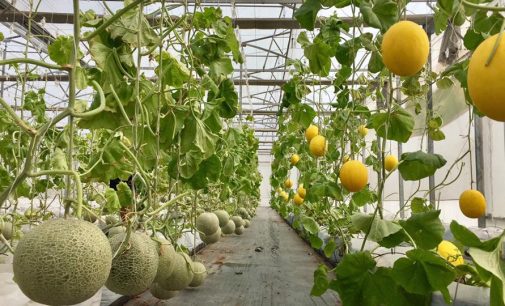 Hội thảo nông nghiệp thông minh chất lượng cao SmartAgri