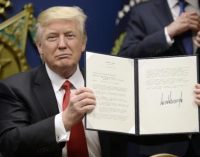 Nhân viên Google phải hộc tốc bay về Mỹ vì sợ không được cho nhập cảnh