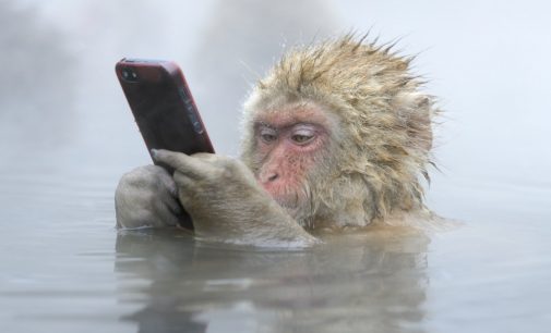 Công nghệ buồn trong năm Con Khỉ