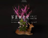 Hãng Canon tổ chức cuộc thi nhiếp ảnh quốc tế New Cosmos of Photography 2017