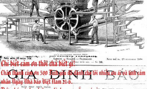 Chỉ biết cảm ơn thôi chả biết gì!