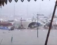 Thiên đường đã mất vì siêu bão Irma