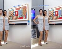 The Frame hay The Dual Frameless?