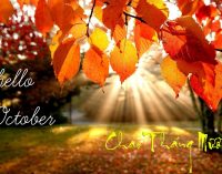 Bao giờ cho đến tháng 10? Nó tới rồi nè…