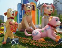 101 chú chó năm Tuất trên Đường Hoa Nguyễn Huệ 2018