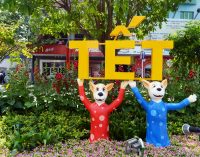 VIDEO: Đường Hoa Nguyễn Huệ Saigon Tết Mậu Tuất 2018 – Phần 1