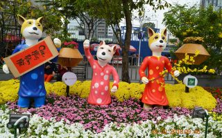 ALBUM: 101 chú chó năm Tuất trên Đường Hoa Nguyễn Huệ 2018