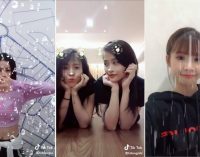 Tik Tok và Musical.ly kết hợp thành nền tảng video ngắn mới