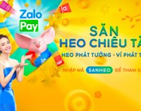 ZaloPay giới thiệu chương trình mừng Tết Kỷ Hợi 2019 “Săn heo chiêu tài”