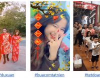 Gần 170.000 video được người Việt chia sẻ trên TikTok dịp Tết Kỷ Hợi 2019
