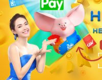 ZaloPay đạt tăng trưởng 400% với chiến dịch Tết Kỷ Hợi