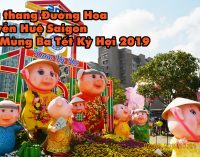 VIDEO: Lang thang Đường Hoa Nguyễn Huệ trưa Mùng Ba Tết Kỷ Hợi 2019