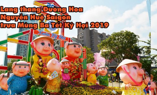 VIDEO: Lang thang Đường Hoa Nguyễn Huệ trưa Mùng Ba Tết Kỷ Hợi 2019