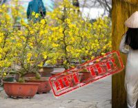 Một cuối tuần đặc biệt…