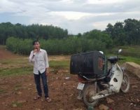 Đinh tai tới buốt óc…