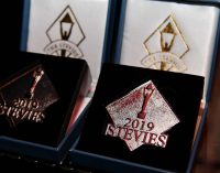 VNPT bội thu 7 giải thưởng quốc tế IBA Stevie Awards 2019