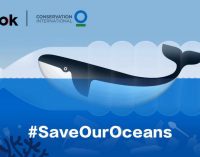 TikTok tham gia nỗ lực quốc tế bảo vệ môi trường biển toàn cầu