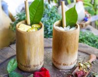 Thiệt ra chung quy là bởi tại vì chúng ta đang lạm dụng mọi thứ…