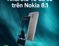 Nokia 8.1 trở thành chiếc smartphone Nokia đầu tiên lên đời Android 10