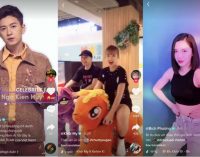 Bảng xếp hạng tổng hợp TikTok’s Best of 2019 về văn hóa đại chúng Việt Nam 2019