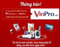 Một loạt website thương mại Việt Nam ngừng cuộc chơi