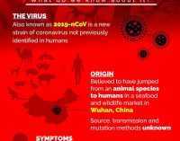 CẬP NHẬT về dịch Wuhan 2019-nCoV sáng 29-1-2020