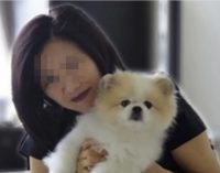 Một chú chó ở Hong Kong dương tính với novel coronavirus