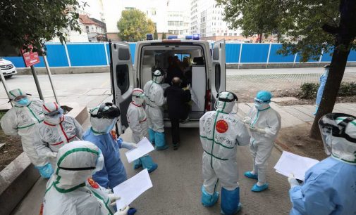 Cô Vi vòng quanh thế giới (1)