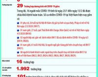 BỘ Y TẾ: Việt Nam có ca nhiễm thứ 30 – tăng 13 ca trong 3 ngày, sau 3 tuần không có ca mới