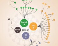 Các mối liên hệ của 47 ca nhiễm COVID-19 ở Việt Nam