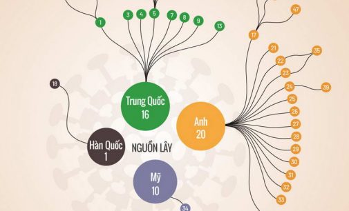 Các mối liên hệ của 47 ca nhiễm COVID-19 ở Việt Nam