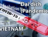 Những ca nhiễm novel coronavirus gây dịch COVID-19 ở Việt Nam-thang 6-2020 về trước