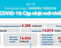 Việt Nam có bệnh nhân COVID-19 thứ 76