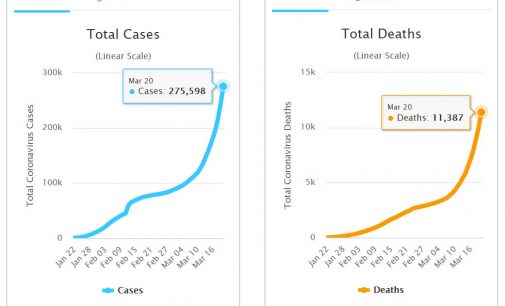Cô Vi truyền kỳ: 3 tháng, 12 ngày và 5 ngày