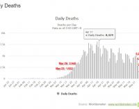 Tín hiệu vui từ đại dịch COVID-19 toàn cầu