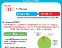 Việt Nam chuẩn bị đón hơn 100 người Việt nhiễm COVID-19 từ Châu Phi về