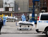 Chuyện nước Mỹ và những ngườichết vì COVID-19