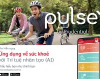 Prudential Việt Nam ra mắt ứng dụng chăm sóc sức khỏe Pulse by Prudential