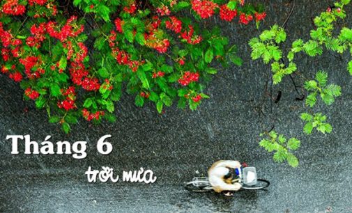 Tháng Sáu Trời Mưa và Tình Khúc Tháng 6