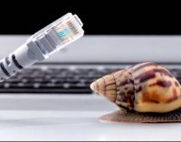 Mạng chập chờn, người chập cheng